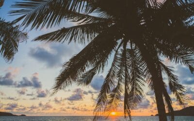 How to Treat Sun Damage in Hawaii: Q&A with Dr. Shelbi Jim On